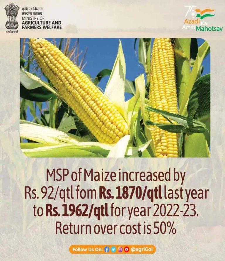 msp-maize-2022-23